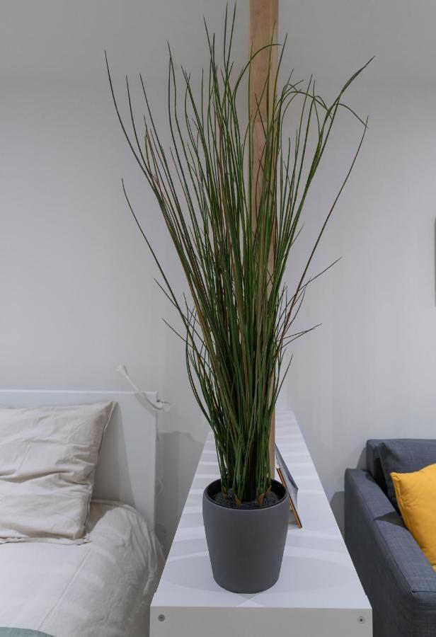 ※Perrier Menthe※ Hyper-Centre Et Tranquillite Apartment Клермон-Феран Екстериор снимка